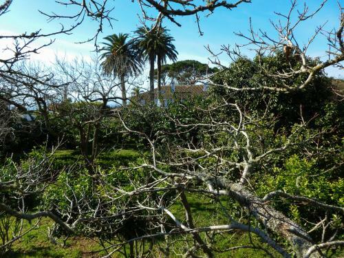 Agroturismo Quinta Do Esp�rito Santo