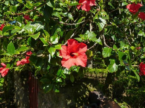 Agroturismo Quinta Do Esp�rito Santo