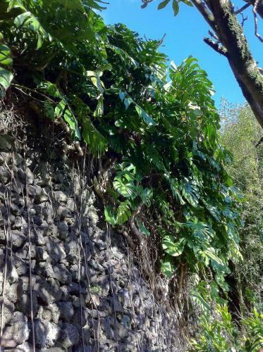 Agroturismo Quinta Do Esp�rito Santo