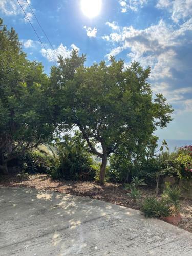 Casa Vacanze Piedigrotta