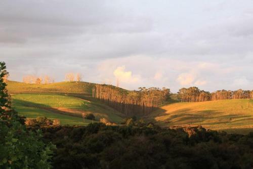 Bed & Breakfast Morepork Riverside Lodge