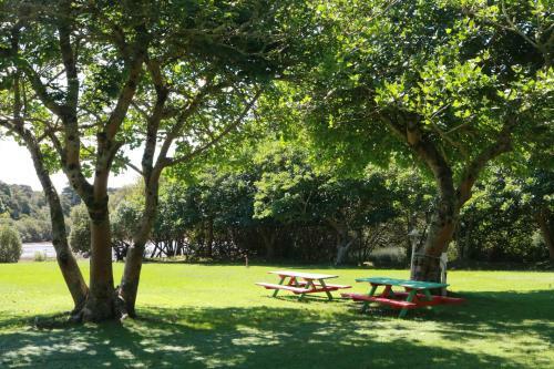 Hotel Haruru Falls Resort