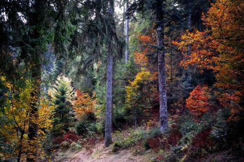 Apartamento B4 Schwarzwald-fewo An Der Alb