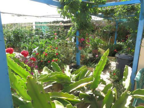 Apartamento Gartenapartment Finca Cortez