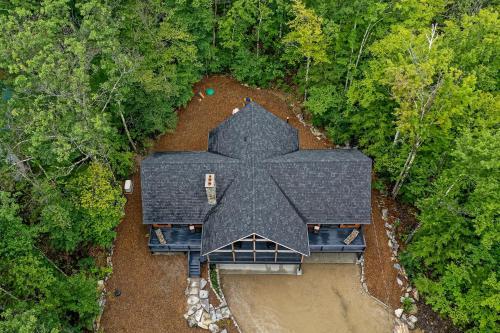 The Tree House
