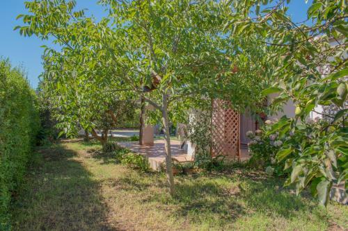Apartamento Casa Vacanze Tortoli'