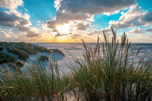 Apartamento Appartementen Amelander Paradijs