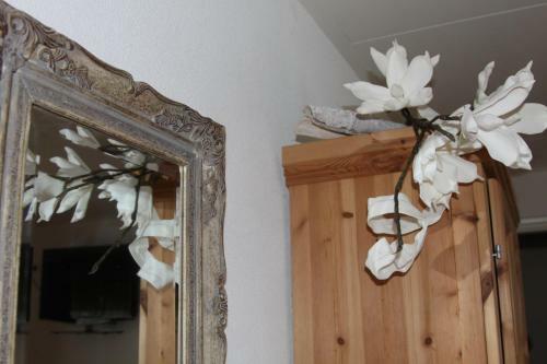 B&B Molenaar