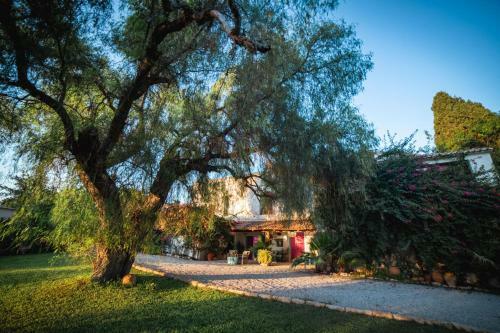 Agroturismo Finca El Belon