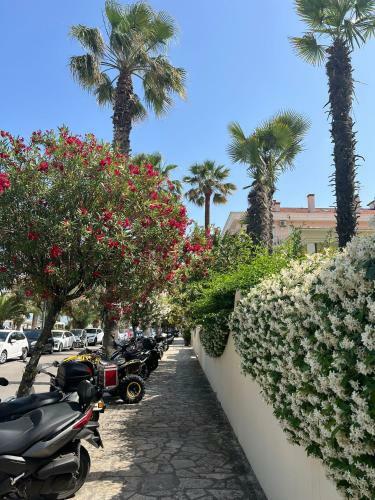 Bella Alba Apartment On The Beach