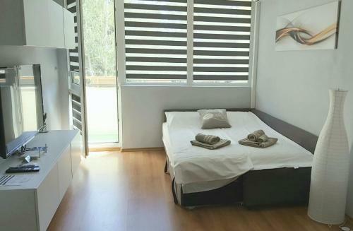 Mam`s Apartment In The Center