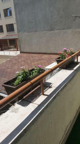 Mam`s Apartment In The Center