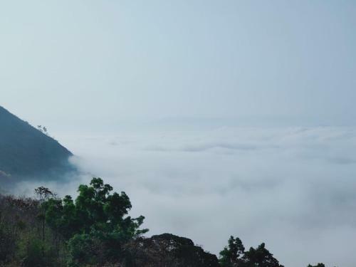 Villa Olivia Homestay Idukki