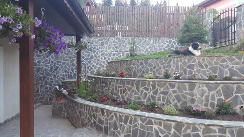 Hostal Pensiunea La Marion