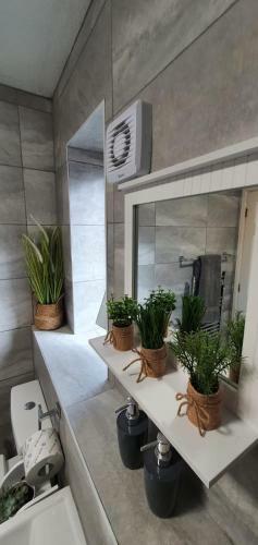 Apartamento The Roman Retreat
