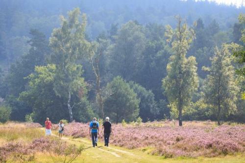 Vakantiehuis Op De Veluwe