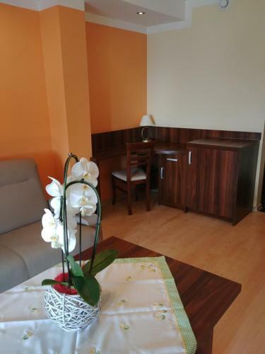 Bed & Breakfast Pensjonat Willa Szarotka