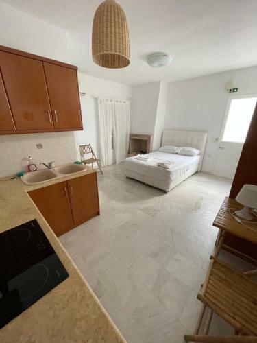 Amedi Villas Tinos