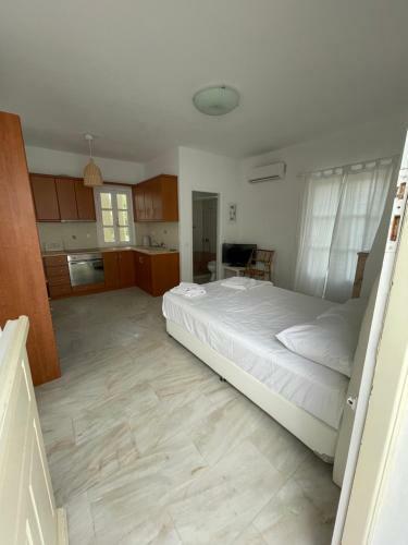 Amedi Villas Tinos