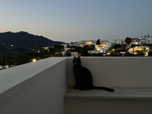 Amedi Villas Tinos