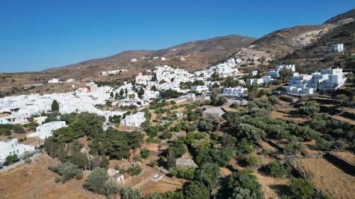 Amedi Villas Tinos