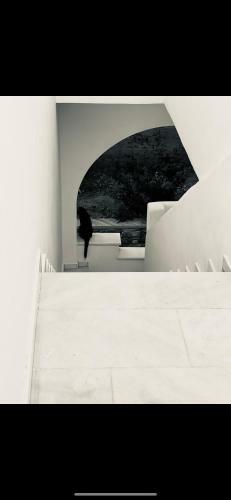 Amedi Villas Tinos