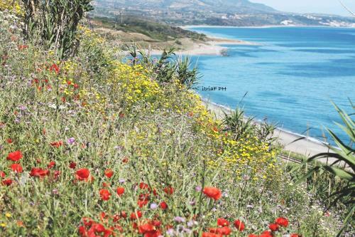 Nuovo Appartamento In Centro A 50m Dal Mare