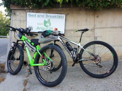 Bed & Breakfast Angulum