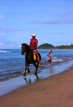 Hotel Uprising Beach Resort