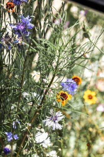 Hostal Maison Florence Ivakno