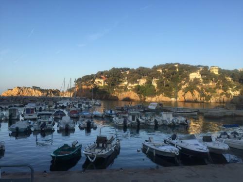 Petit �den