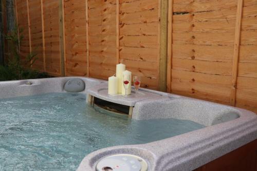 Palm 2 Park Home With Hot Tub