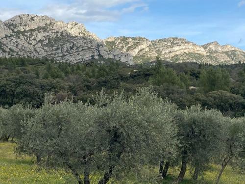 Hostal D�tente & Spa