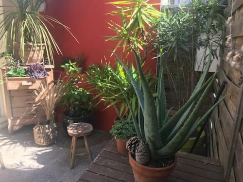 Apartamento Joli Coeur, Port Marianne, 4 Pers