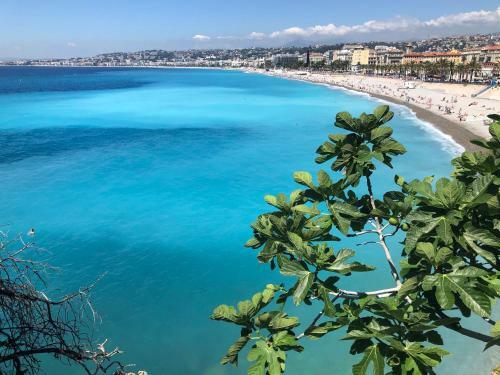 Apartamento Appt � 150m De La Mer