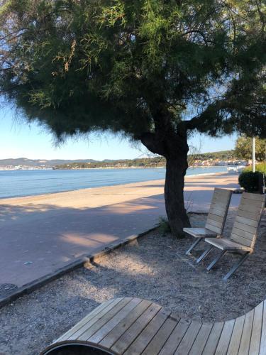 Apartamento Appartement Bord De Mer Avec Terrasse