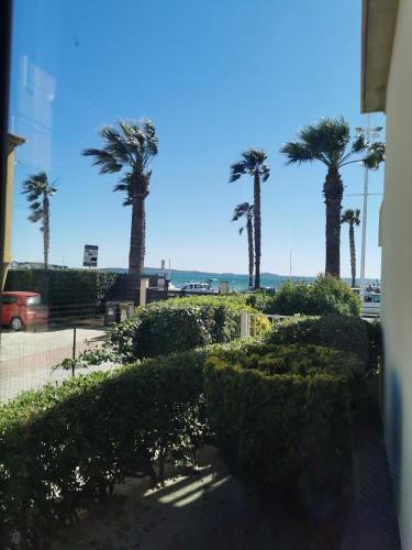 Apartamento Vue Mer � 20 M�tres De La Plage !