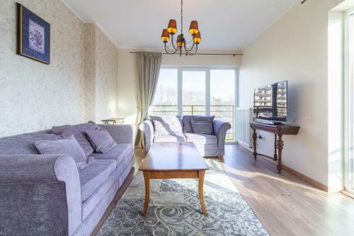 Sunday Morning Apartment, By Cohost