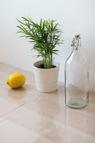Forte Apartments "enjoy Salento"