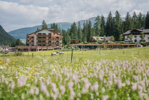 Hotel Dolomitenhof & Chalet Alte Post