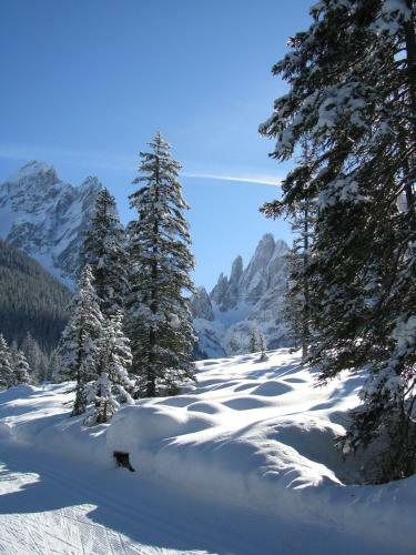 Hotel Dolomitenhof & Chalet Alte Post