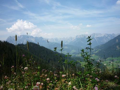 Hostal Gasthof-pension Strassreith