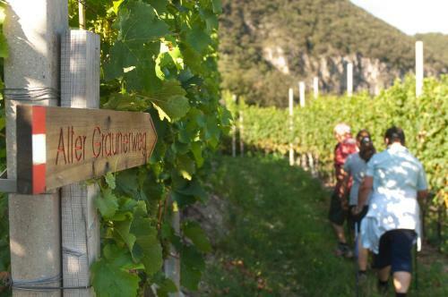 Apartamento Santlhof - Sauvignon