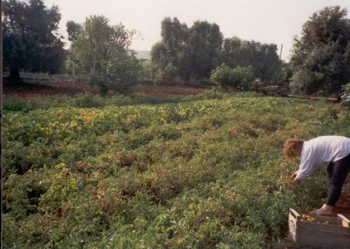 Agroturismo Casavacanza In Campagna Popolata