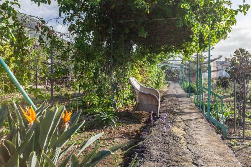 Casa Victor - Apartment Hayd�e
