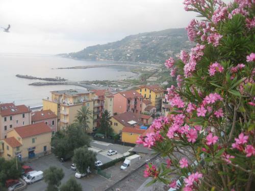 Apartamento Appartamento In Residence