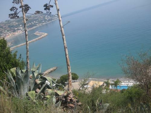 Apartamento Appartamento In Residence