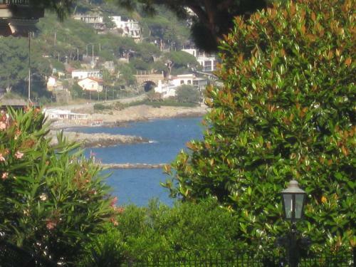 Apartamento Appartamento In Residence