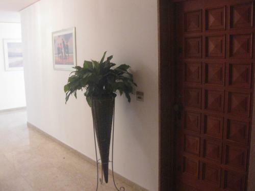 Apartamento Appartamento In Residence