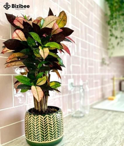 Apartamento Le Pink Lady Avenue De Champagne